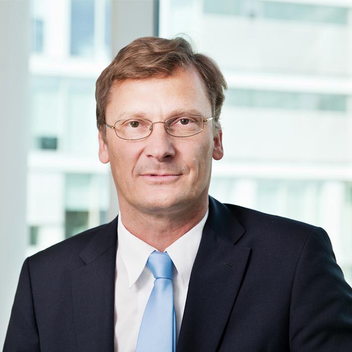 Litigation Attorney