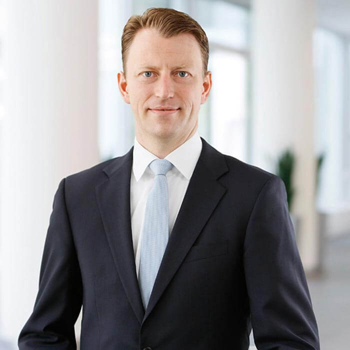 Litigation Lawyer